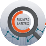 Business Analysis